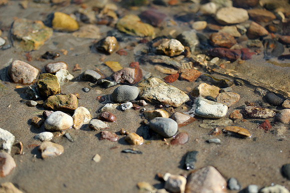 Rocks @ the Mississippi River