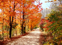 Seasons