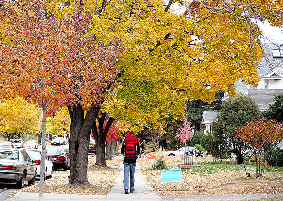 Autumn living