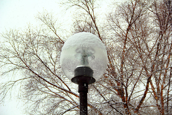 Frozen