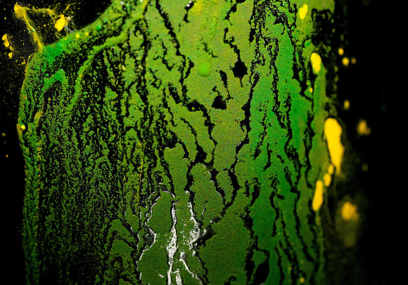 Life's Canvas