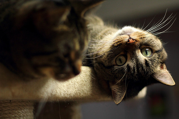Crazy Eyes