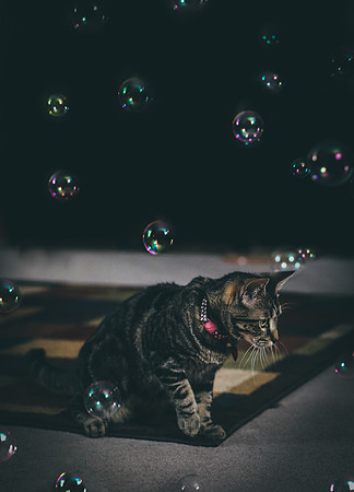 Week 6: Levitation