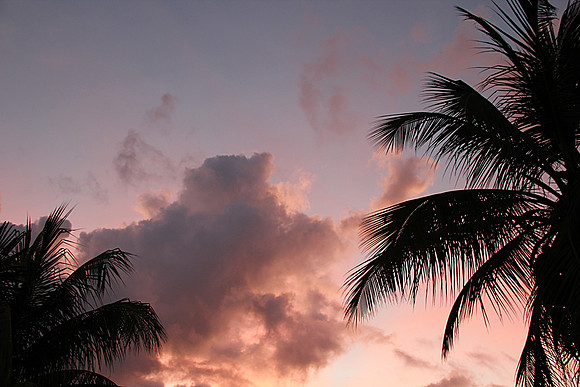 Sunrise