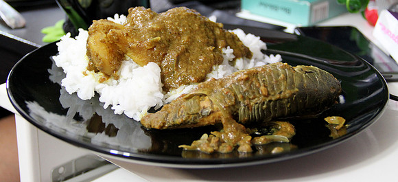 Hassa Curry