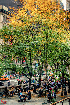 NYPL Patio