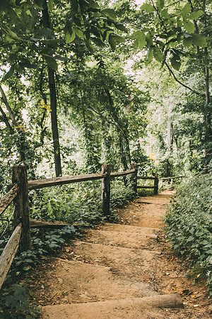 Week 39: Path