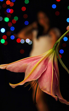 Week 52+: Forced Perspective