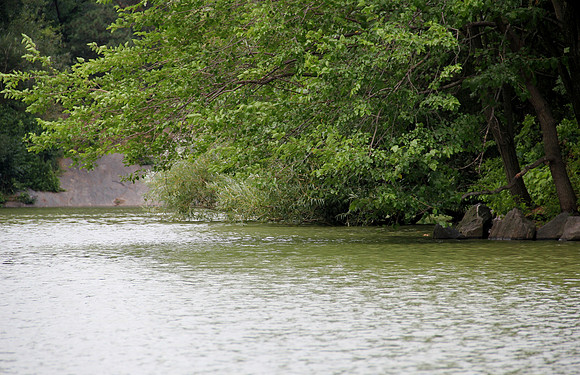 Lake stream