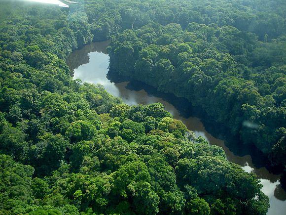 Amazonia