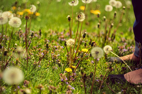 Week 52+: Morning