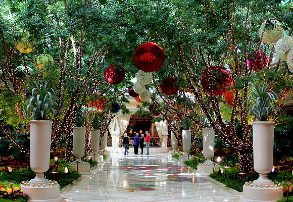 The Wynn Garden