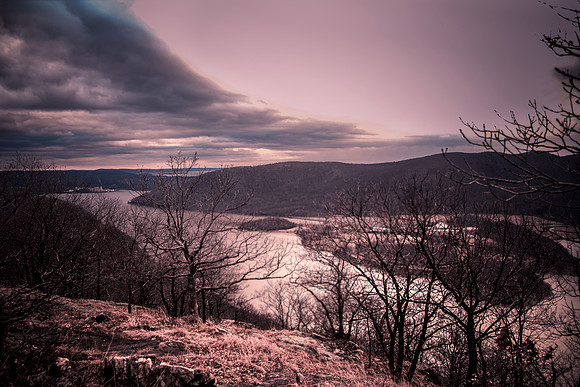 Week 52+: Framer's Choice