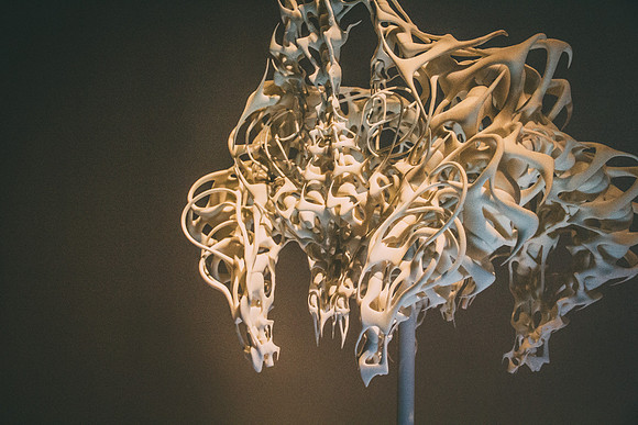 3 D dress | Iris van Herpen