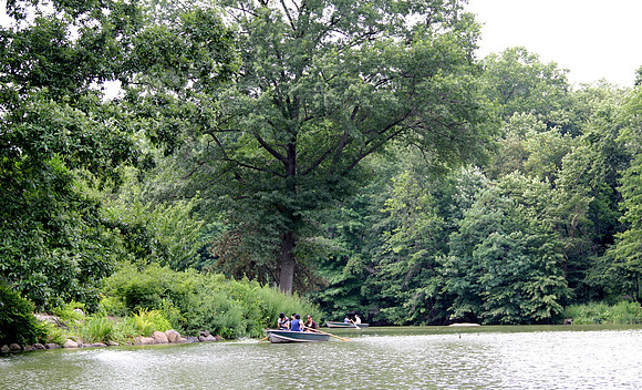 Central Park