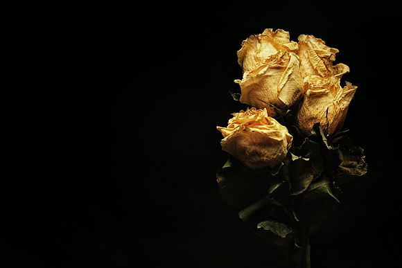Week 52+: Negative Space