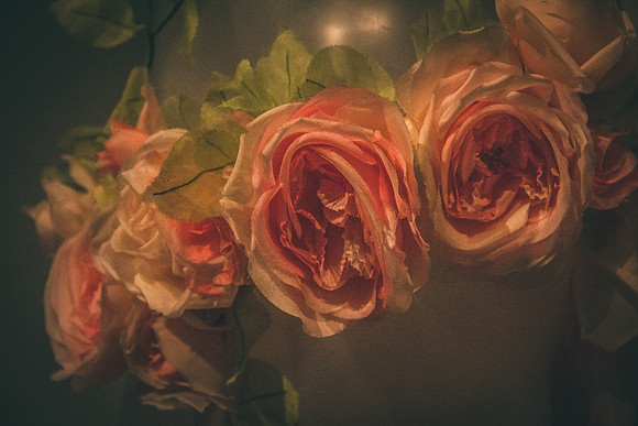 Silk Roses | Yves Saint Laurent
