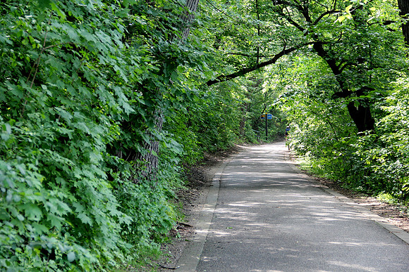 Lake Calhoun Bike Trail
