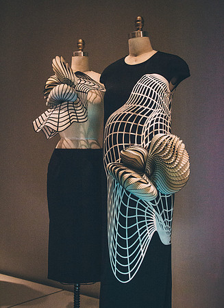 3 D printed dress | Noa Raviv