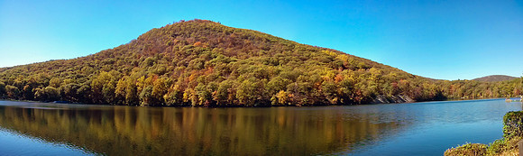 Week 52+: Landscape